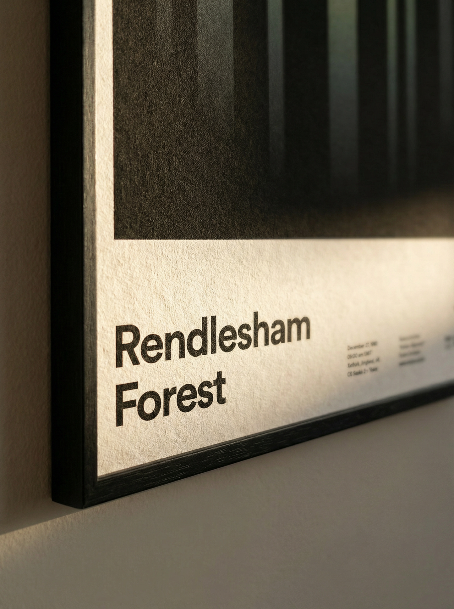 XENYRA 09 — RENDLESHAM FOREST