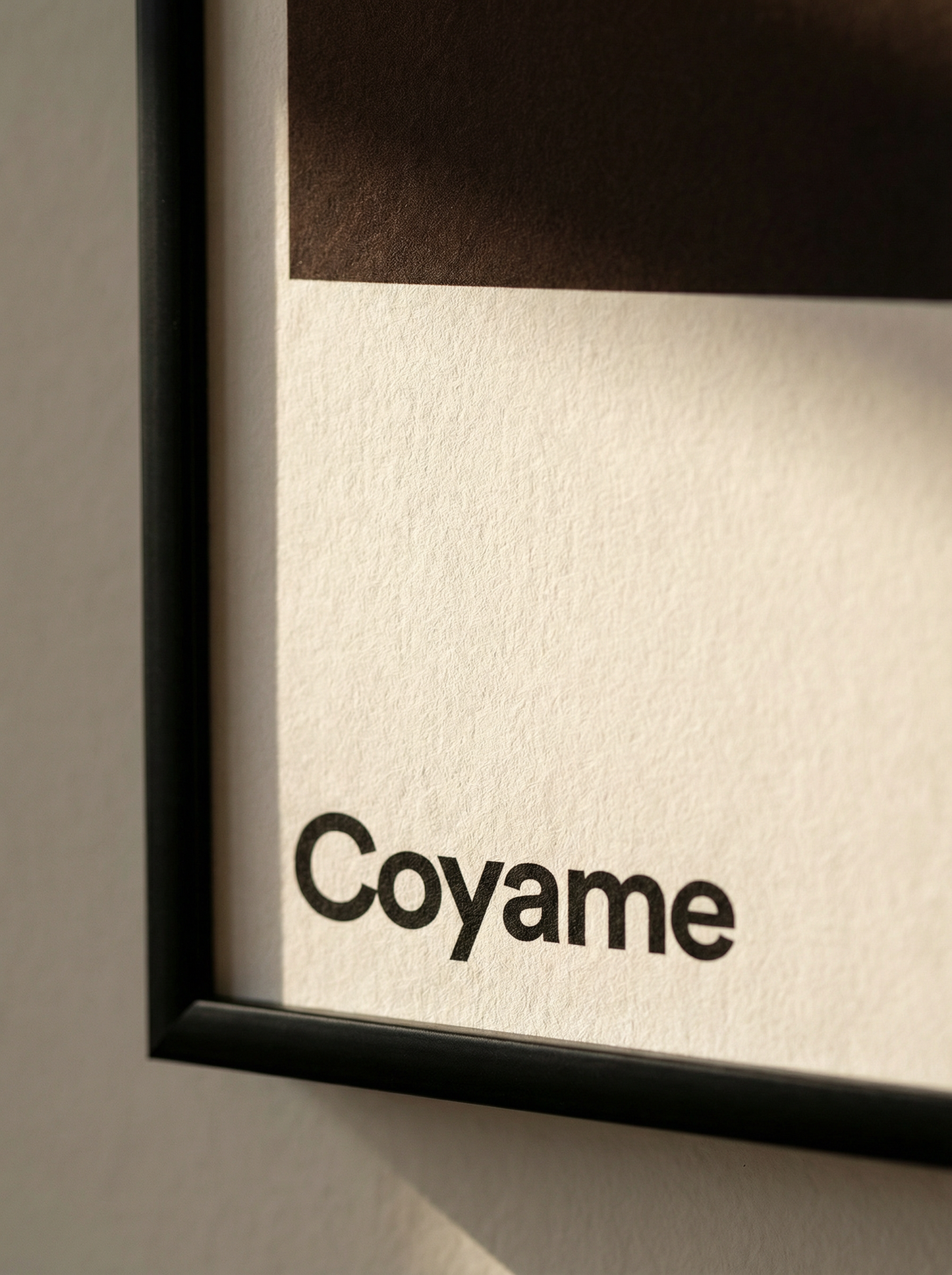 XENYRA 08 — COYAME